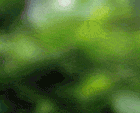 }IRAFA.gif
