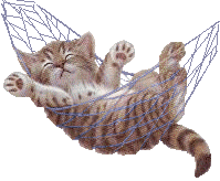 14917445.gif